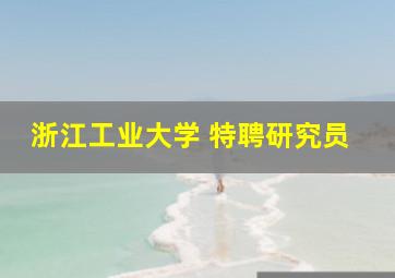 浙江工业大学 特聘研究员